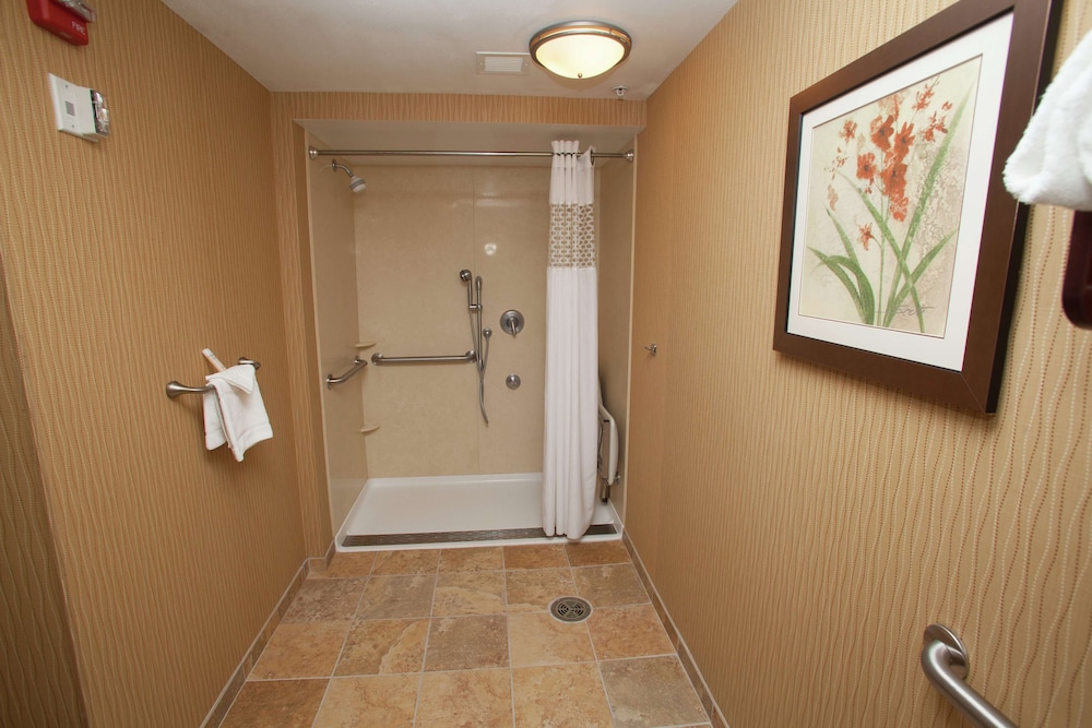 Hampton Inn Elmira Horseheads - photo 43