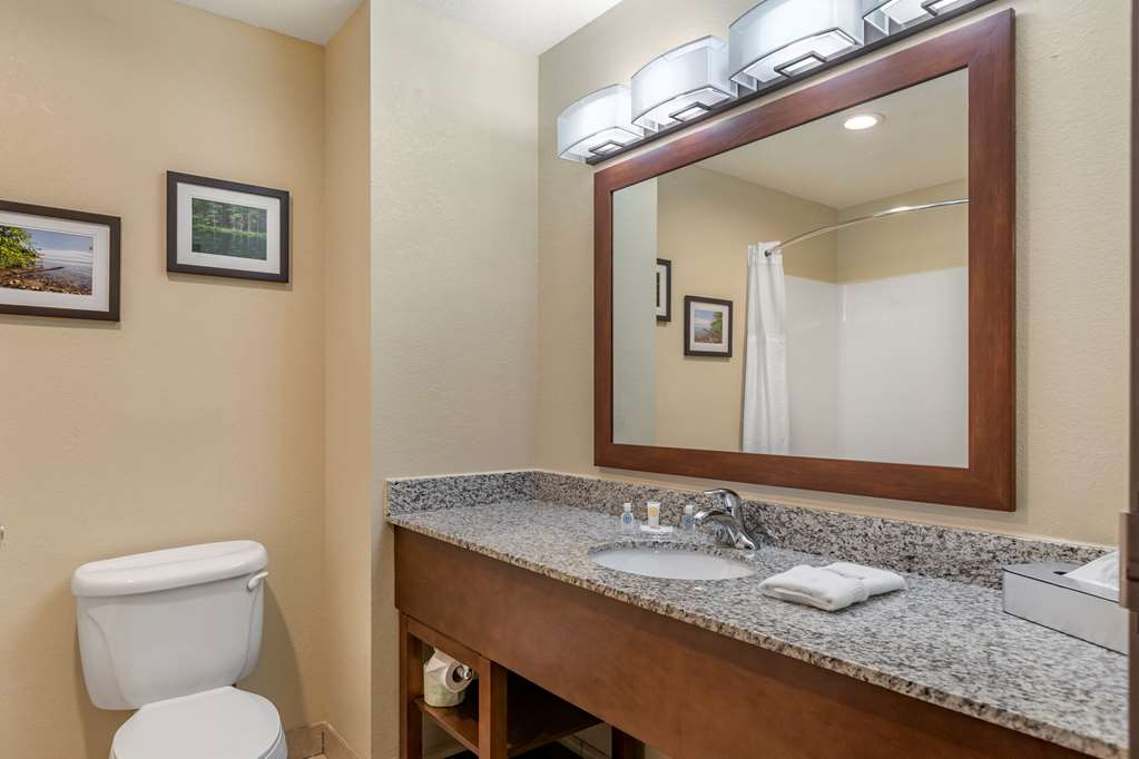 Comfort Suites Grand Rapids North - photo 6