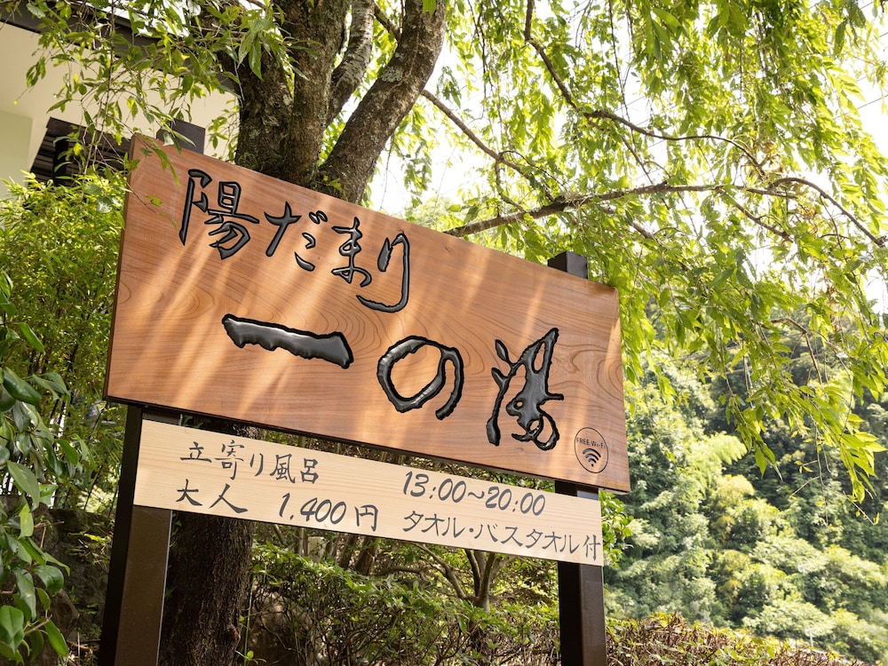 Hidamari Ichinoyu - last minute hotel in Hakone