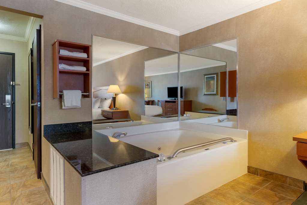 Best Western Davison Inn - photo 18