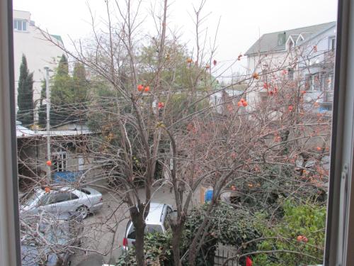 Apartment Avlabari