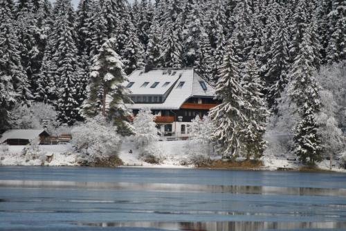 Köhlerei am See in Feldberg, Germany