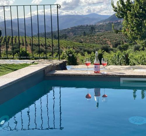 Quinta do Monte Travesso Country Houses & Winery — hotel in Tabuaco