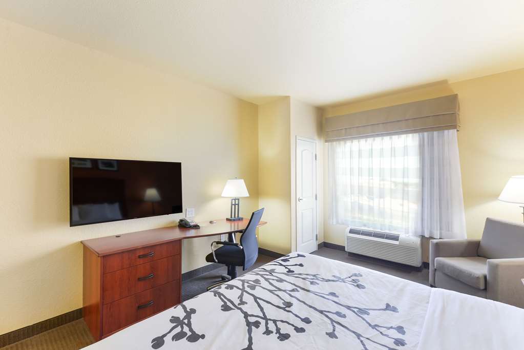 Sleep Inn & Suites Midland West - photo 12
