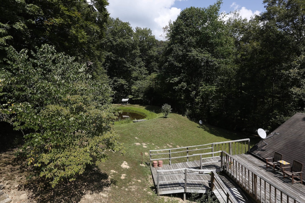 Lil Black Bear Inn - photo 144