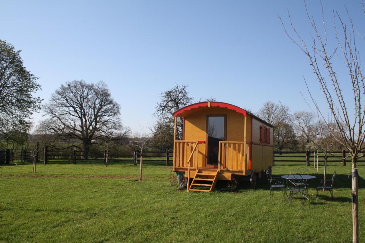 Roulotte Poulette — Mortagne-Au-Perche — photo 5