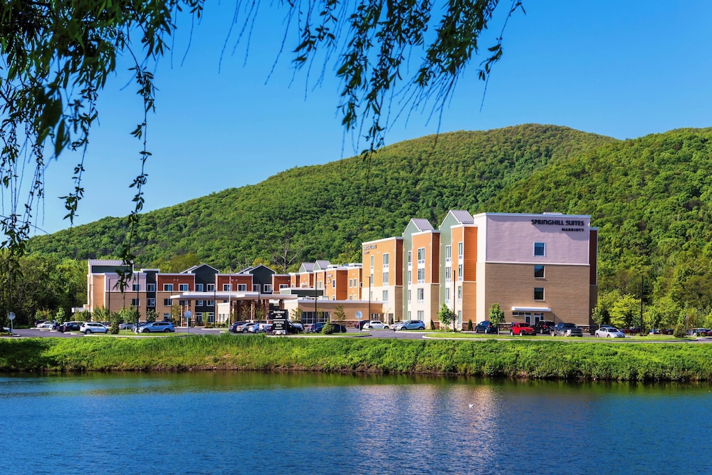 SpringHill Suites by Marriott Fishkill - photo 2