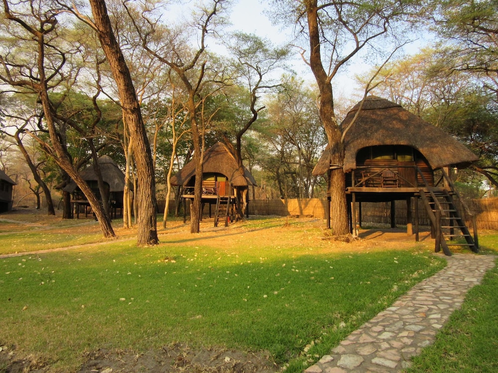The Tree Lodge At Sikumi 4280847 — Hwange