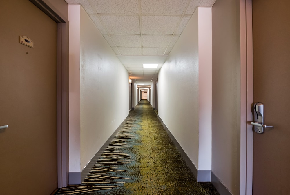 Red Roof Inn & Suites Newark University - photo 38