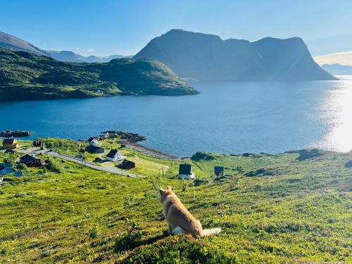 Seiland BlueDream HolidayHome — Hammerfest — photo 5