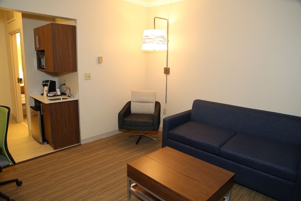 Holiday Inn Express Hotel & Suites Greenville by IHG - photo 20