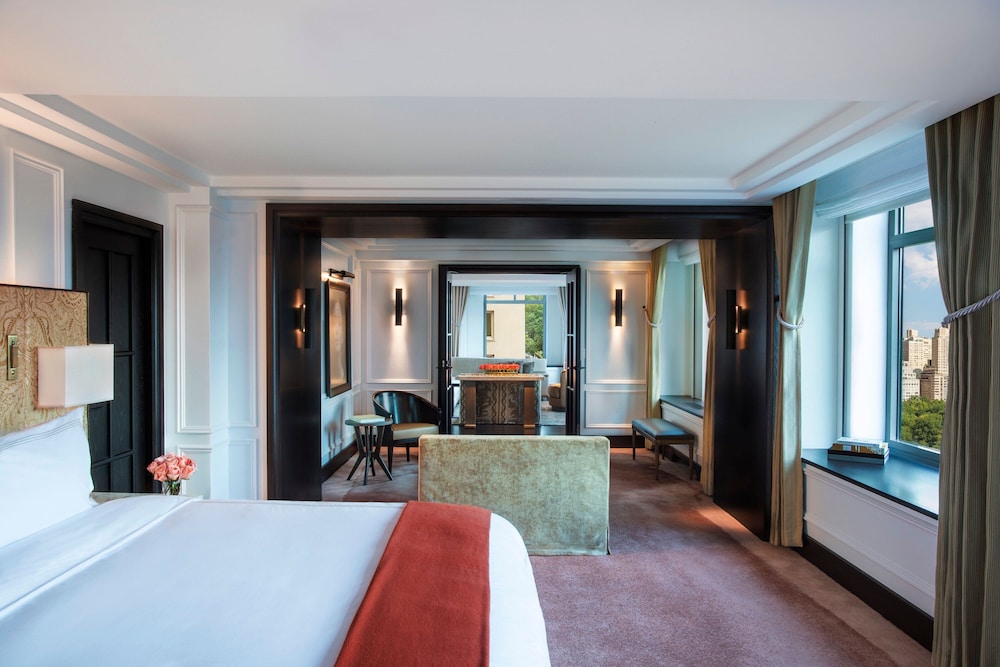 The Ritz Carlton New York Central Park - photo 24