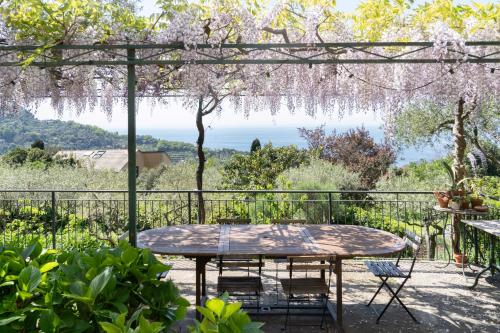 Uliveto in Camogli, Italy