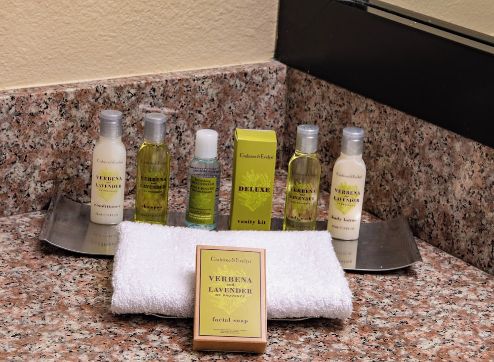 DoubleTree by Hilton Orlando Theme Park Resort - photo 24