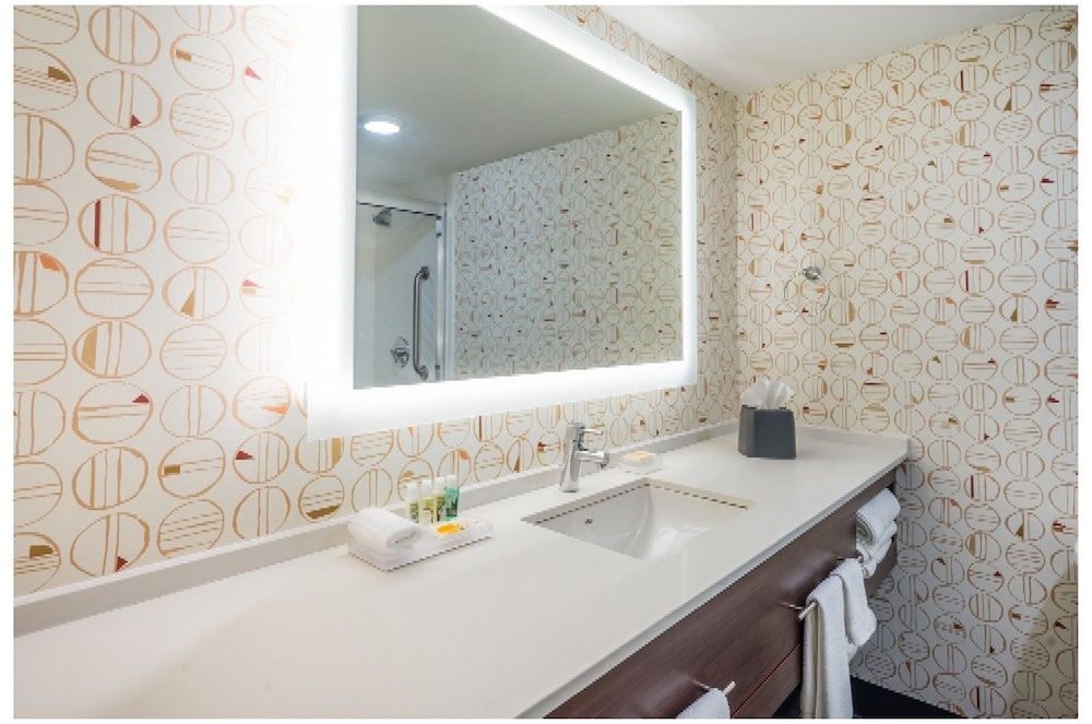Holiday Inn Roanoke Airport Conference CTR by IHG - photo 13
