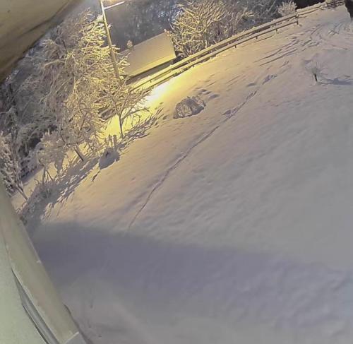 Jahorina Shack in Pale, Bosnia and Herzegovina