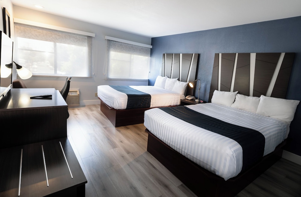 Hotel Mira Vista - photo 18
