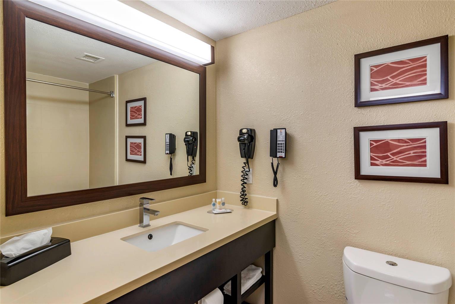 Comfort Inn & Suites near Six Flags - photo 24