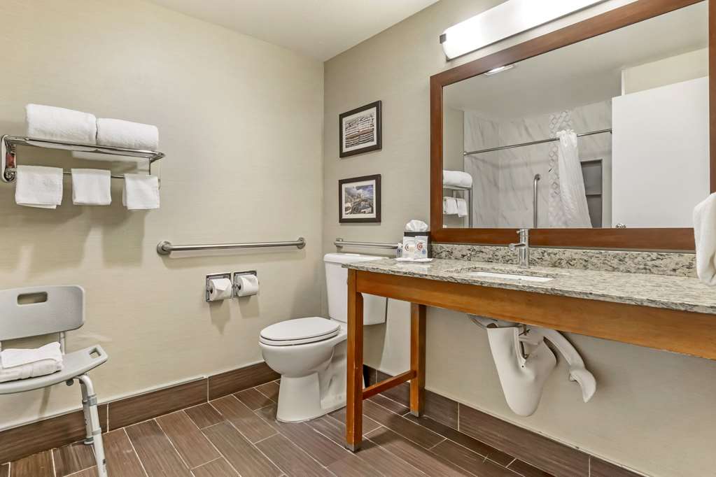 Comfort Inn & Suites Sea Tac Airport - photo 8