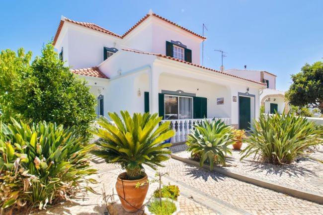 Alcaria Grand House 20437085 — Altura