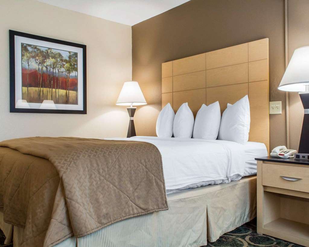 Quality Inn Geneseo - photo 20