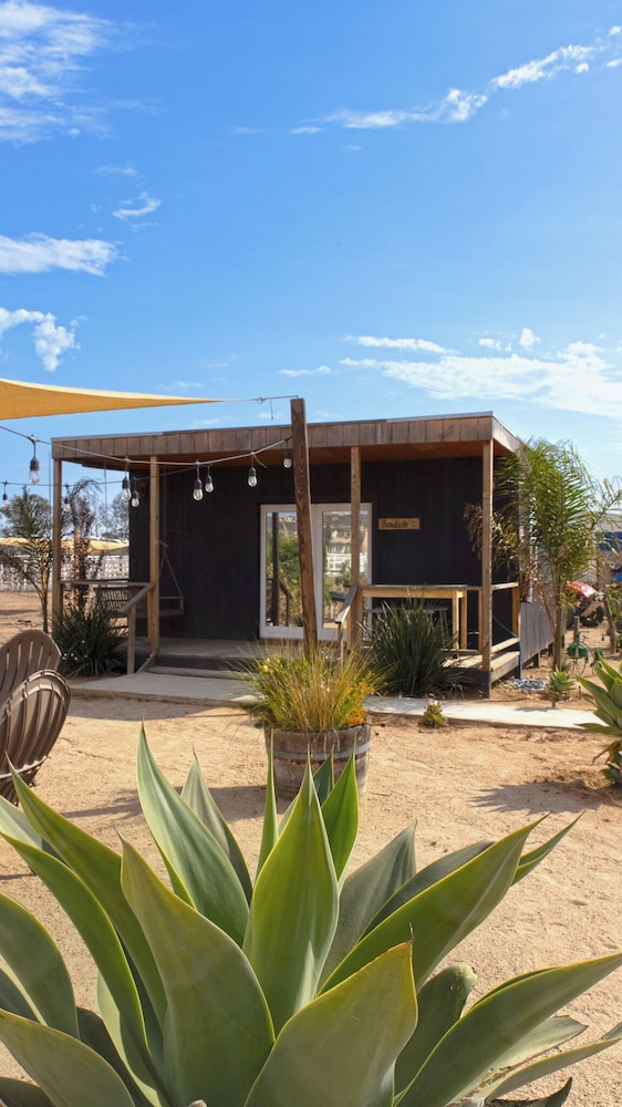 Valle Life in Valle De Guadalupe, Mexico