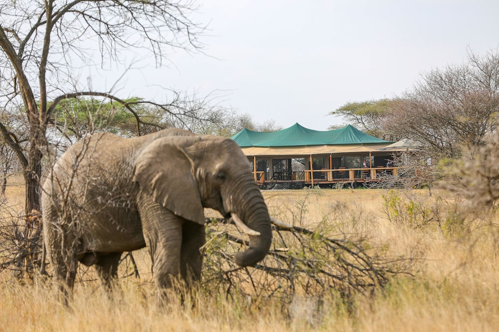 Ndoto Serengeti Camps in Bariadi, Tanzania