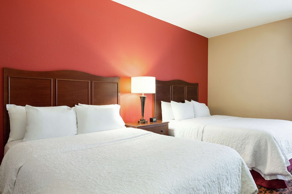 Hampton Inn Abilene - photo 10