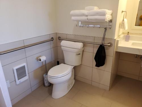 Moonstone Beach Motel - photo 46