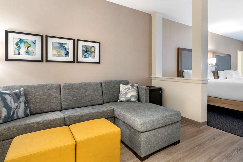 Comfort Suites Grandview Kansas City - photo 8