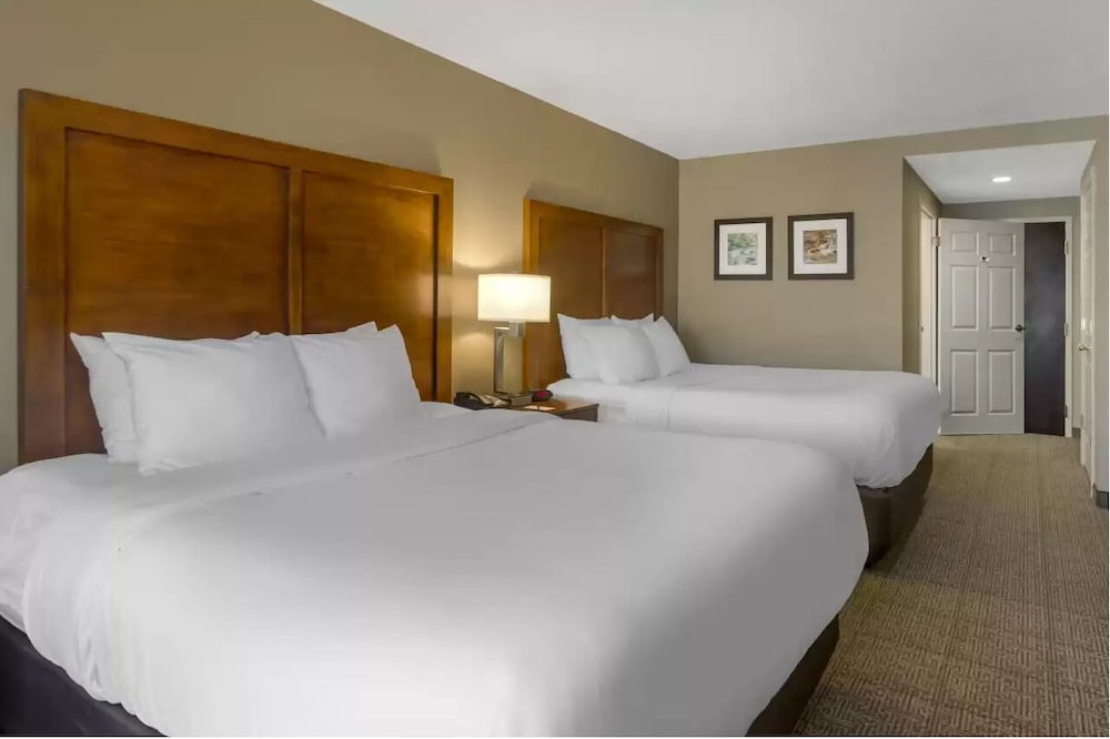 Comfort Inn & Suites Peachtree Corners Norcross - photo 7