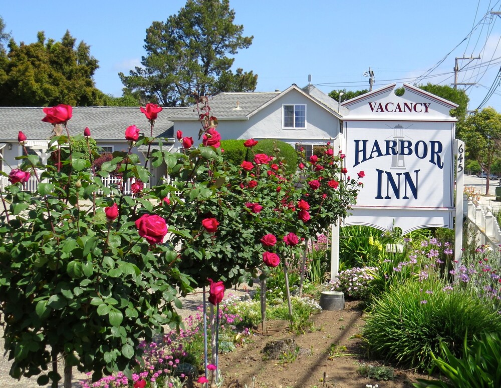 Harbor Inn - photo 19