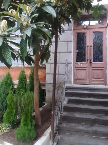 Apartment On Tabidze 3 5