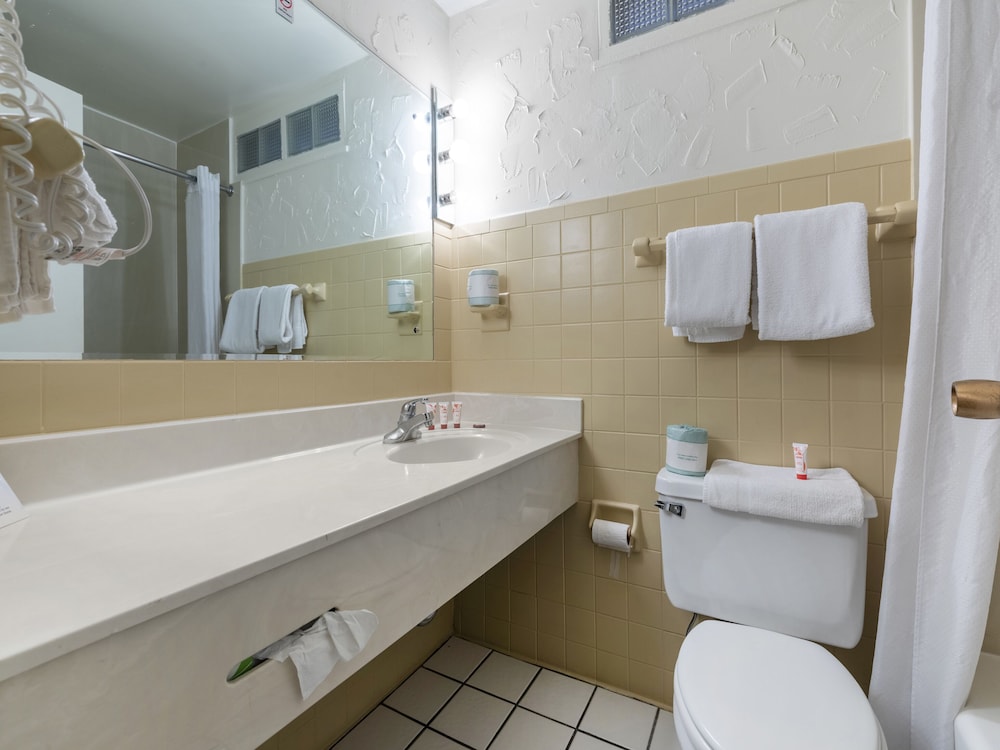 Mansion View Inn and Suite - photo 61