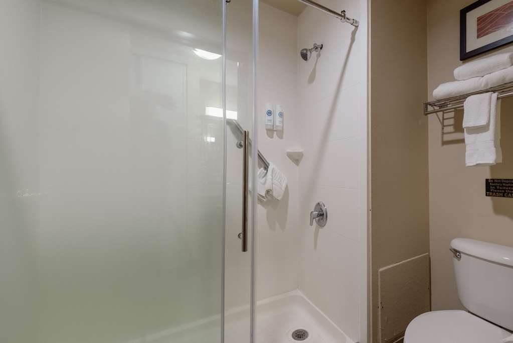 Comfort Inn & Suites Alamosa - photo 43