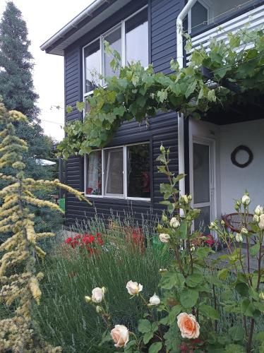 Guest House Serena 21776846 — Chornomors K