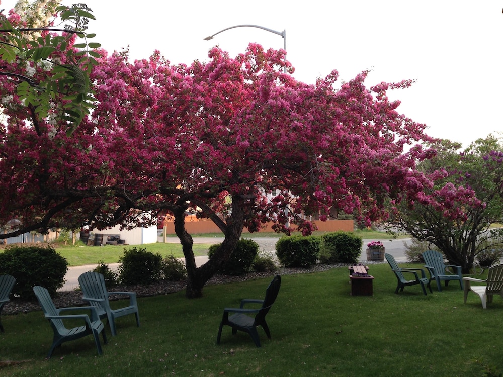 Lakeshore Inn & Suites - photo 43