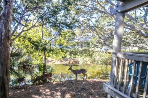 Flip Flop Inn South Carolina - photo 7