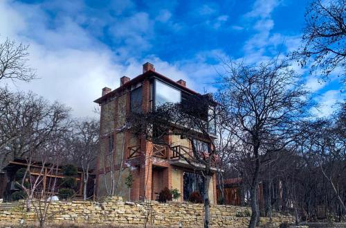 Villa Vejini