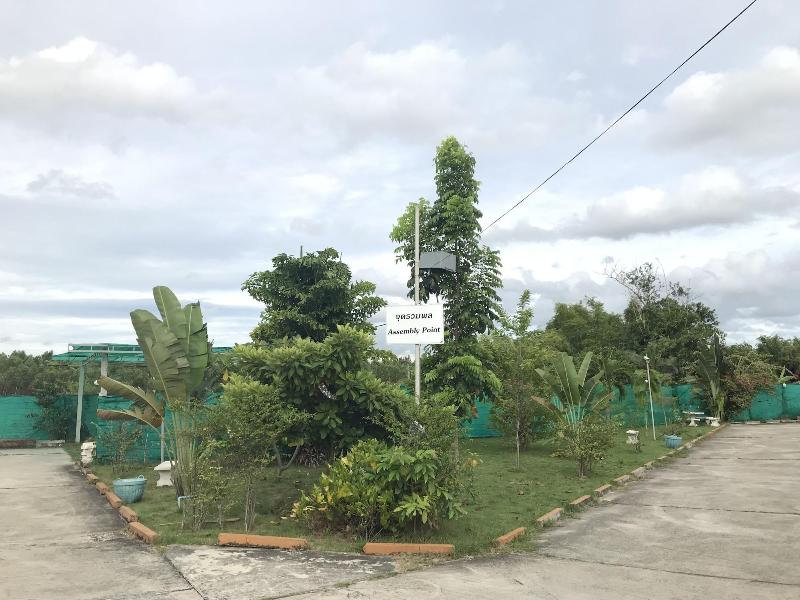 D View Resort — Ban Chang — photo 3