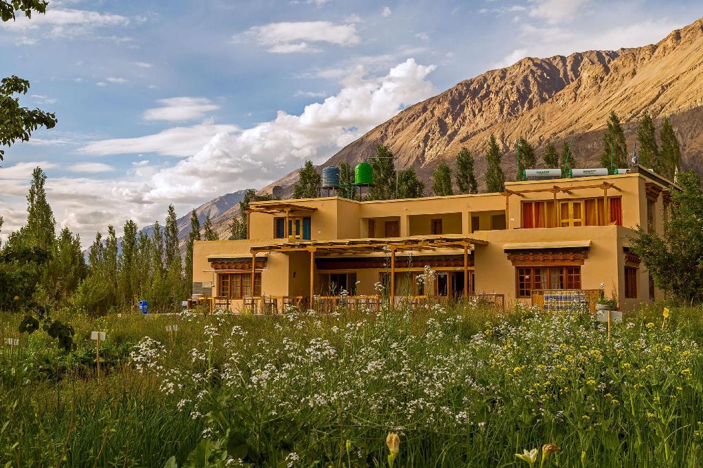 Nubra Ecolodge — Leh — photo 3