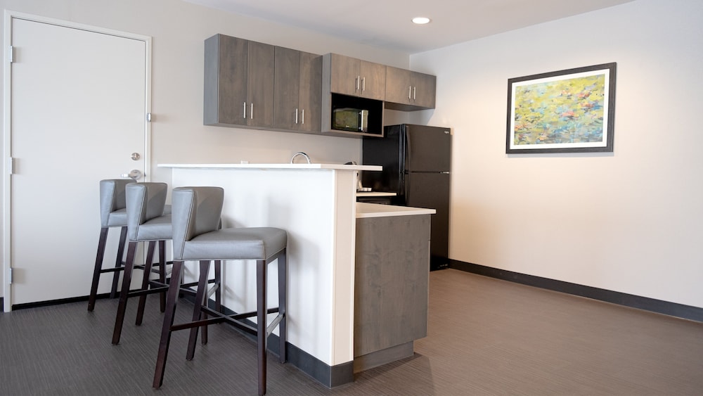 Holiday Inn and Suites Philadelphia W Drexel Hill - photo 44