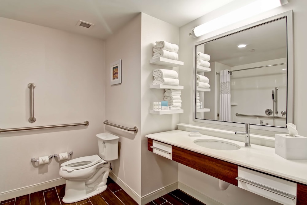 Hampton Inn & Suites Detroit Troy - photo 24