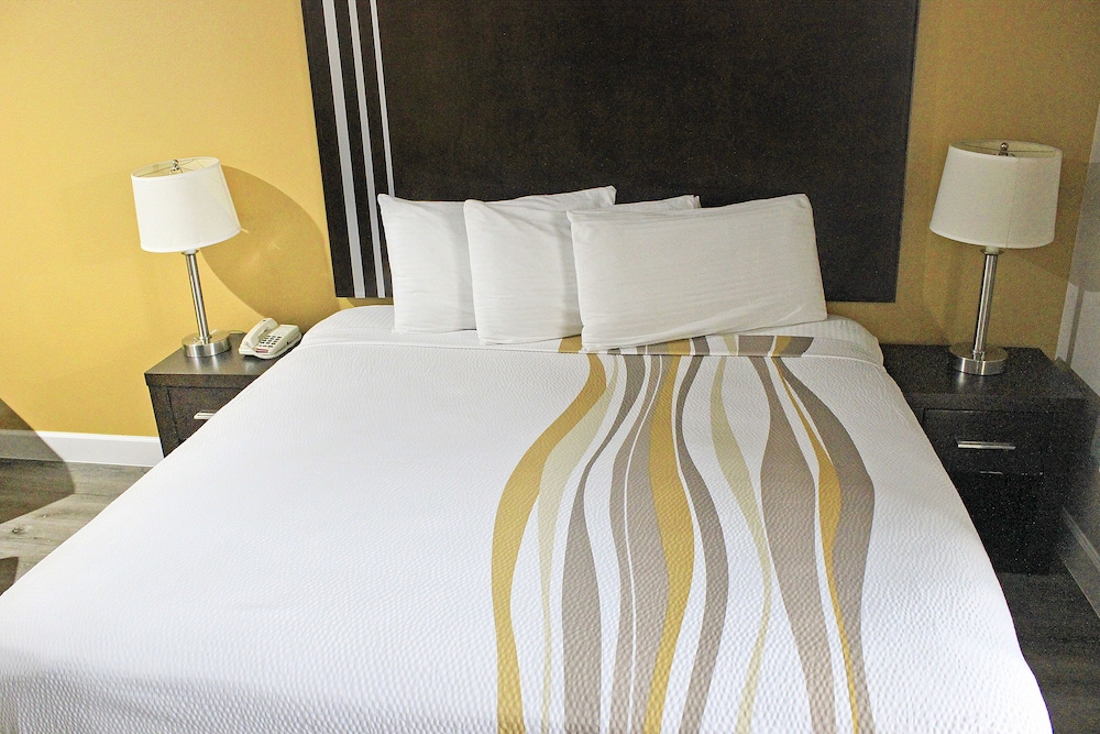 Palacio Royale Inn Houston NW Beltway 8 - photo 8