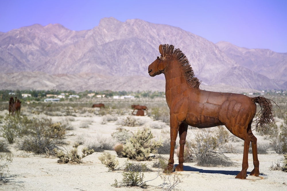 Borrego Springs Resort & Spa - photo 46