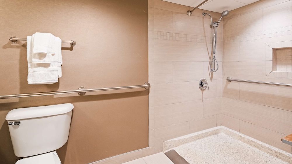 Best Western Premier The Central Hotel & Conference Center - photo 23