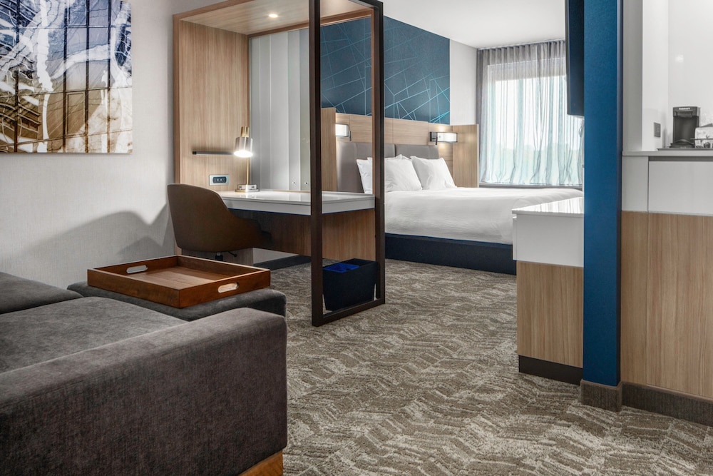 SpringHill Suites by Marriott Charlotte Airport Lake Pointe - photo 6