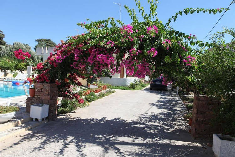 Pandora Di Natura in Ialysos, Greece