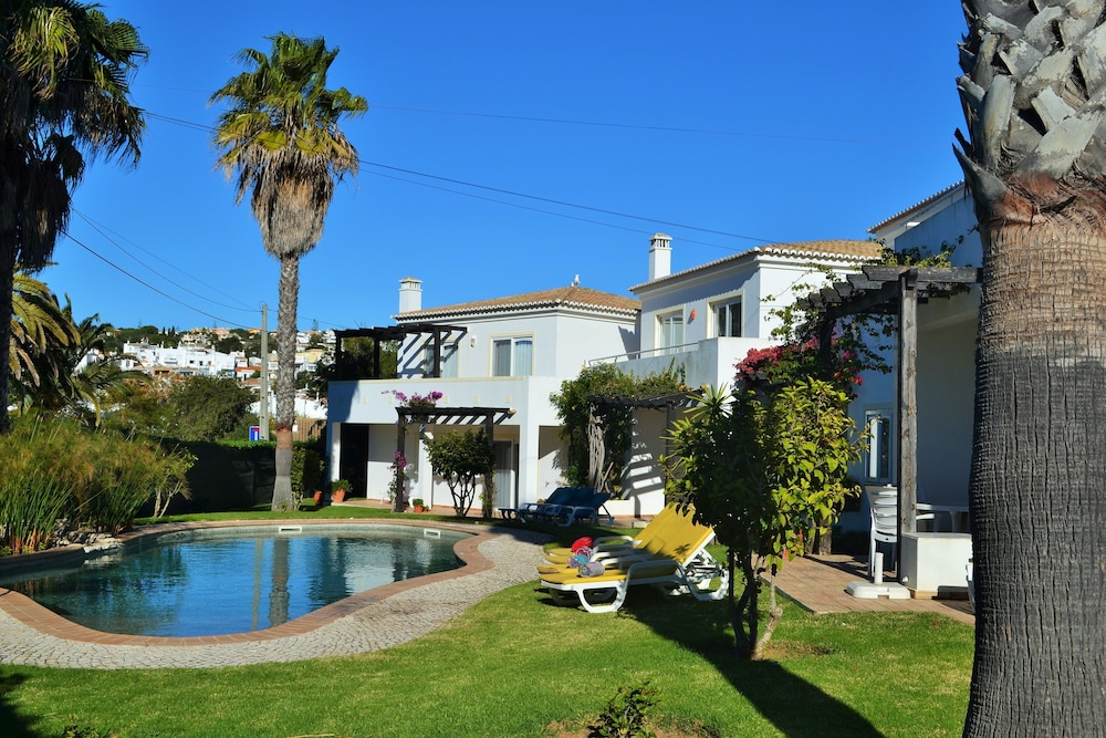 Papoila in Lagos, Portugal