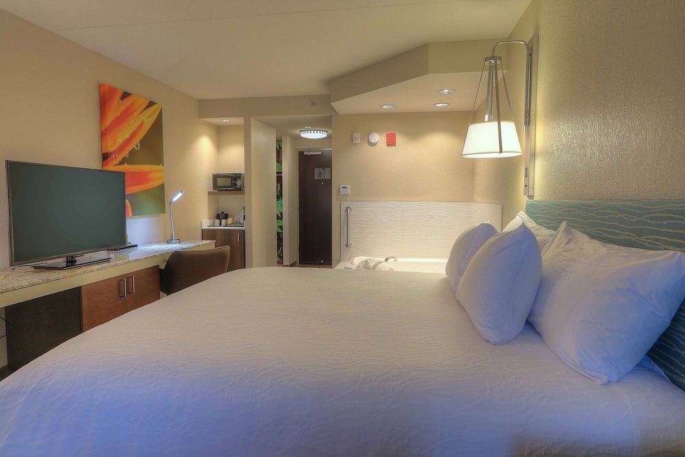 Hilton Garden Inn Pigeon Forge - photo 2